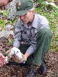 Park biologist holds peregrine.