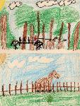 Carriage Road Explorers
