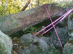 Homans Path
