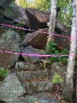Homans Path Steps