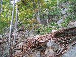 East Face Trail