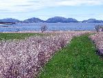 Baker Scenic