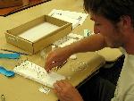 Student pins insect specimens to a foam mount.