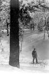 George B. Dorr