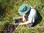 Beetle Blitz 007 - Searching for Specimens