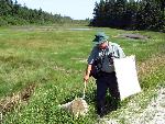 Beetle Blitz 006 - Collecting