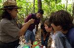 Park ranger shows insects to audience.