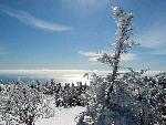 Frozen trees on top of a mountain
