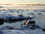 Sea smoke rises from the ocean.