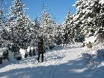 Man skis on snowy carriage roads.