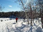 Man and woman ski along frozen lake.