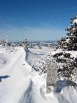 Hiking signpost almost covered in snow