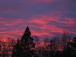 Bright pink sunset sky