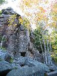 Yellow-leaved tree against granite cliff