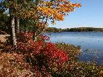 Red and yellow trees along carriage road and lake