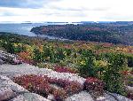 Pink granite with red bushes and ocean view