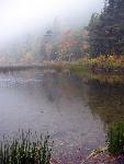 Fall colors in fog along pond