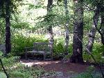 bench under trees