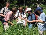 Public Session In the Field