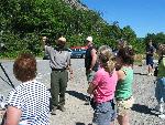 Peregrine Watch