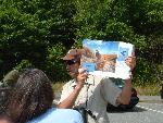 Peregrine Falcon Book