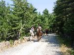 Horseback Riding