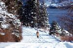 Winter Wonderland