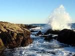 Ship Harbor Wave