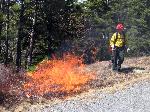 Fire004