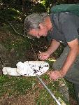 Searching for Insects