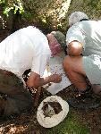 Collecting Specimens