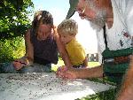 Searching for Specimens