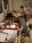 Sorting in the Lab