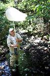 Collecting insects