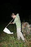 Night Collecting