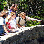 Intern on Bridge