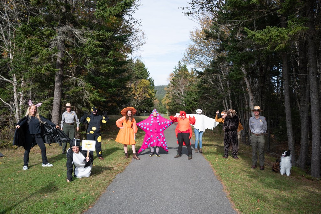 line of 9 people dressed in animal costumes and smiling