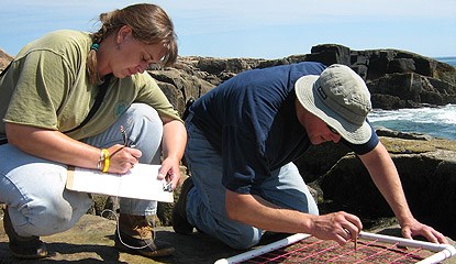 Two researchers crouch near shore, one writing, one counting species.
