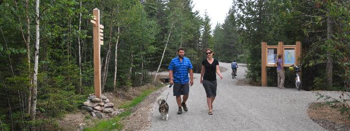Hikers and bikers using the new bike paths in and around Schoodic Woods Campground.