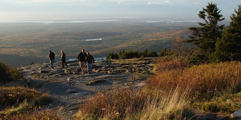 Habitat protection at Cadillac Mountain overlook area.