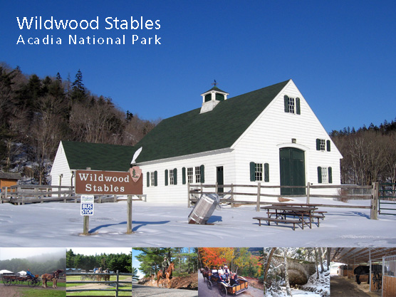 Wildwood Stables montage with stables, horses, and carriages