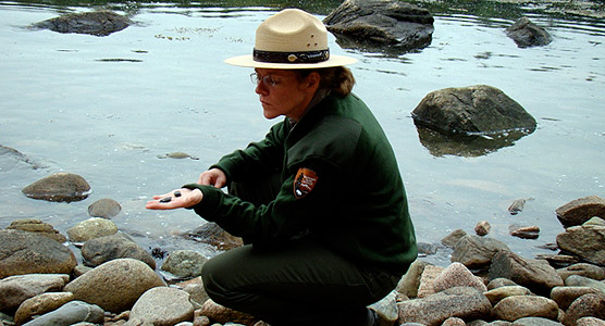 Park ranger crouches at water's edge holding a rock to show others.