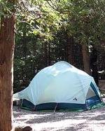 Blackwoods Campsite