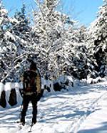 Cross-Country Skiing