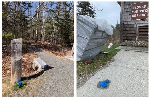 Two photos of dog poop bags left by a sign and garbage can