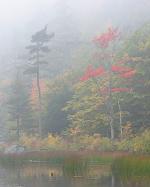 Fall colors