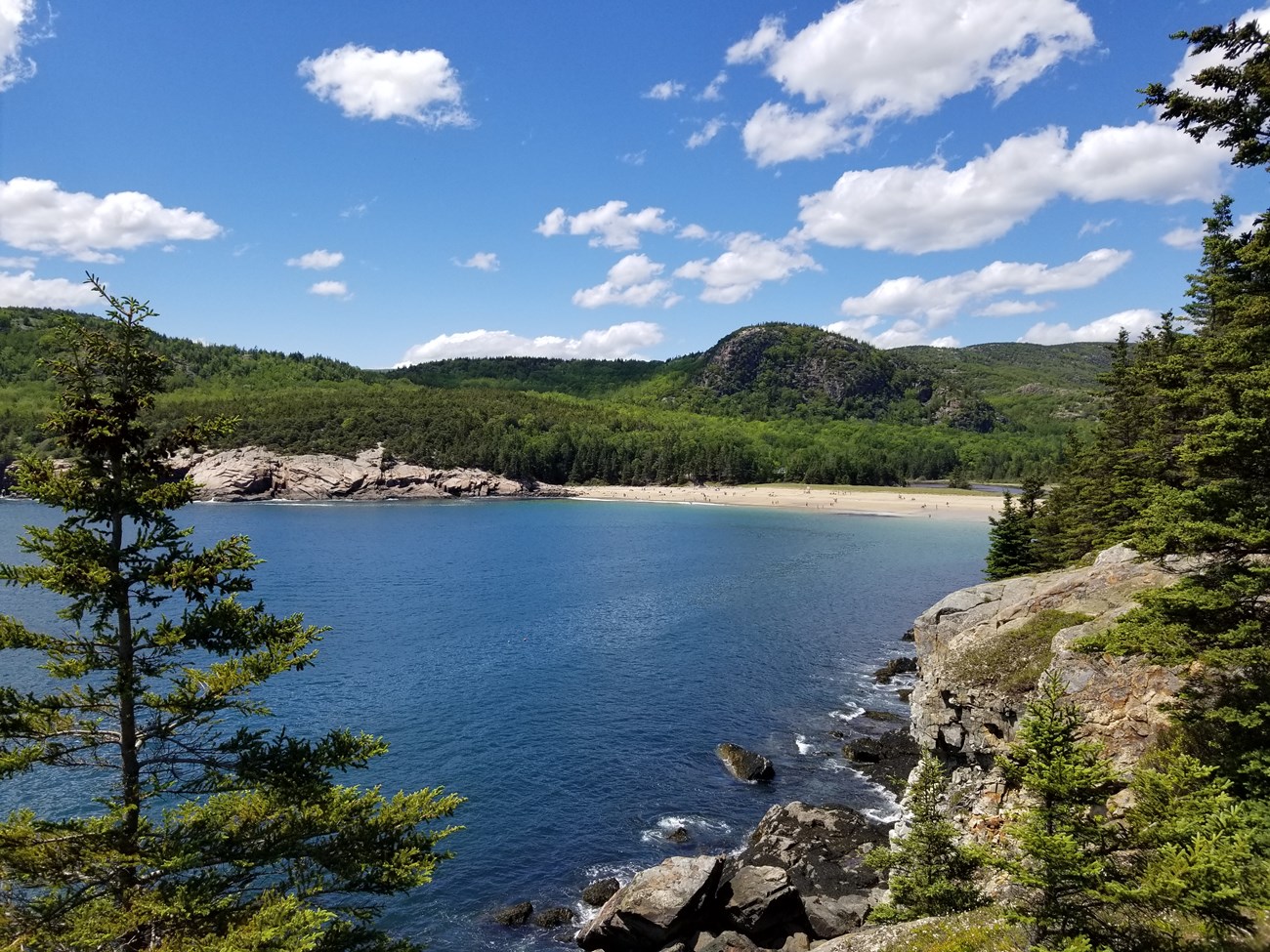 View of beach and forested area from coastline cliff