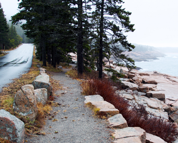 A rainy day on the Ocean Path along the Park Loop Road - December 6, 2011
