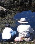 Tidepooling