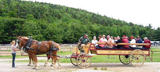 Wildwood Stables horses and carriage